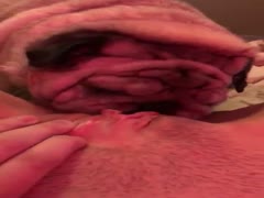 Dog goes for pink pussy of its perverted female owner and licks it in a zoo sex vid